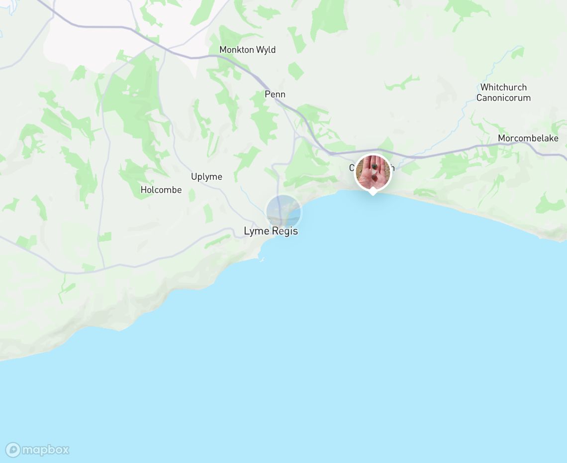 Map showing where Lyme Regis Beach is, in United Kingdom