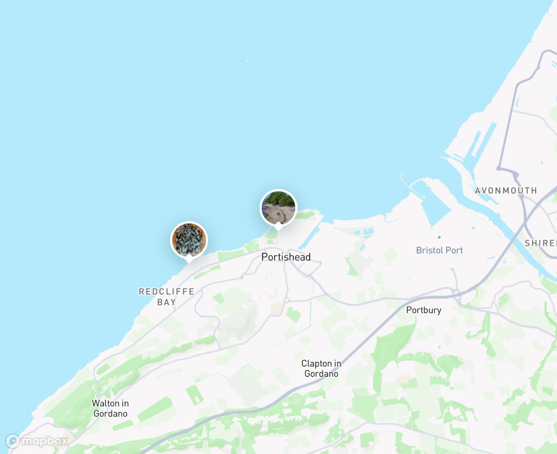 Map showing where Portishead Beach is, in United Kingdom